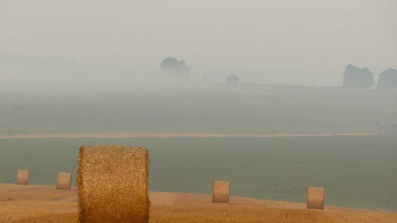 The Rise of HTML5 Browser Games in 2026: Why Players Love Them